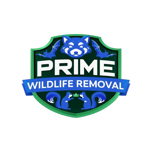 Wildlife Removal Shelby County